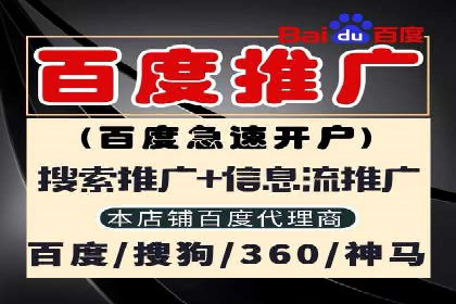 某行业SEM主管的优化策略与成果展示